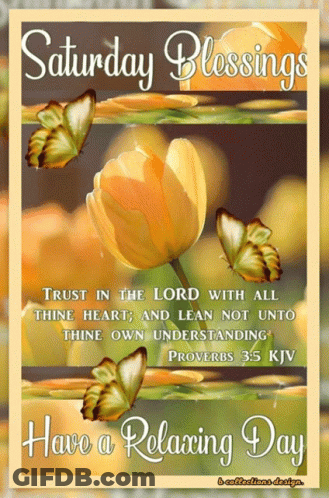 Saturday Blessings Relaxing Day With Butterflies And Flower GIF