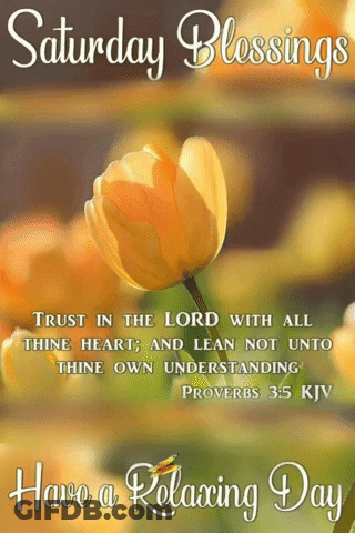 Saturday Blessings Relaxing Day Yellow Flower GIF