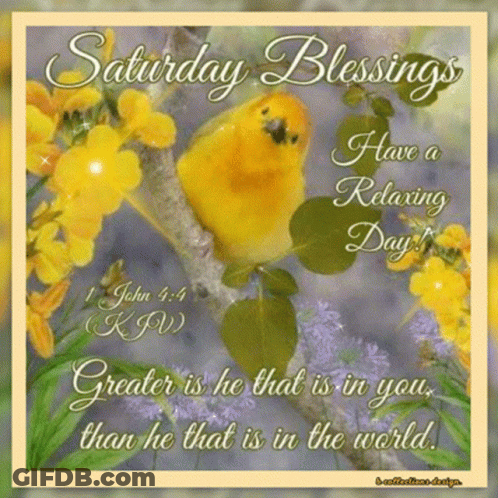 Saturday Blessings Yellow Bird On Branch GIF