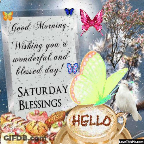 Saturday Morning Colorful Butterfly Quote GIF