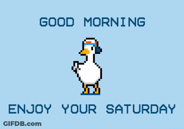 Saturday Morning Pixilated Duck Dancing GIF