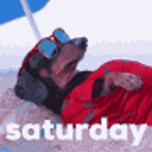 Saturday Weekend Chill Rest Beach Dog GIF