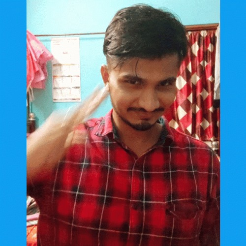 Satya Satyajit Salute Meme GIF