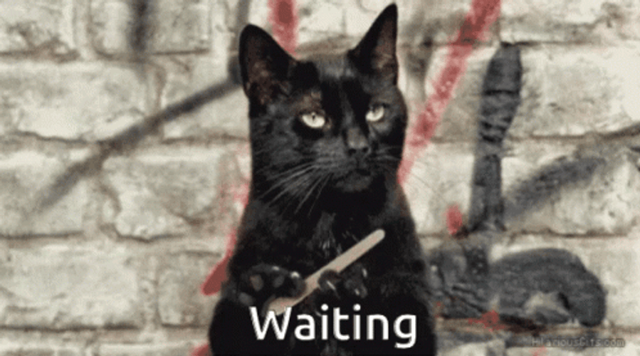 Saucy Black Cat Nail File Waiting GIF