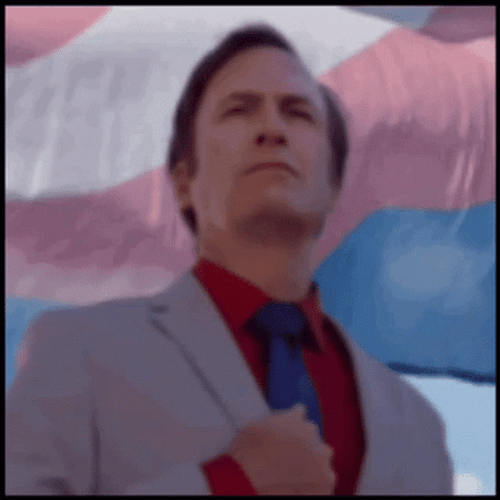 Saul Goodman Giving Respect To National Flag GIF