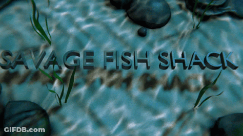 Savage Fish Shack Written In Water With Rocks And Seaweed GIF