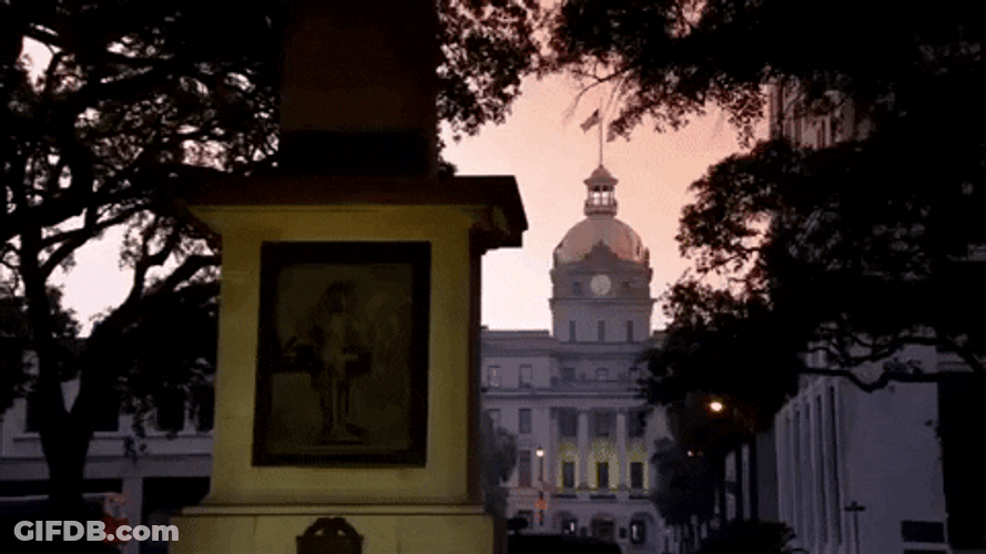 Savannah Georgia Old Tower GIF