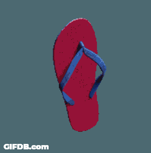 Savatedodo Flipflop Sticker GIF
