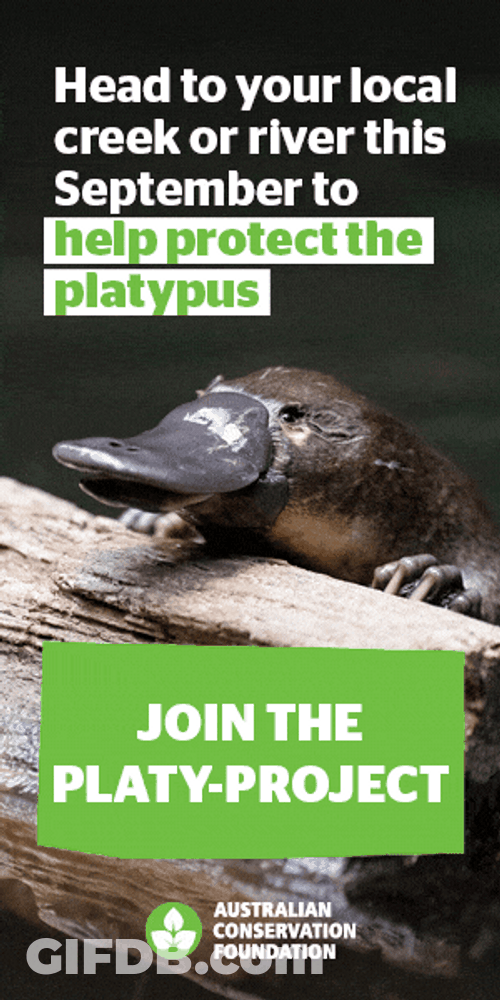 Save And Protect Platypus GIF