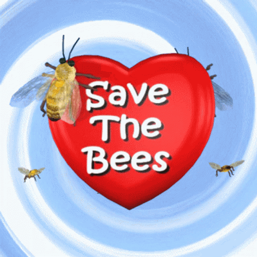Save The Bees Heart GIF