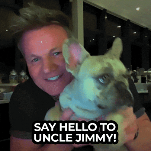 Say Hello Ptsd Dog GIF