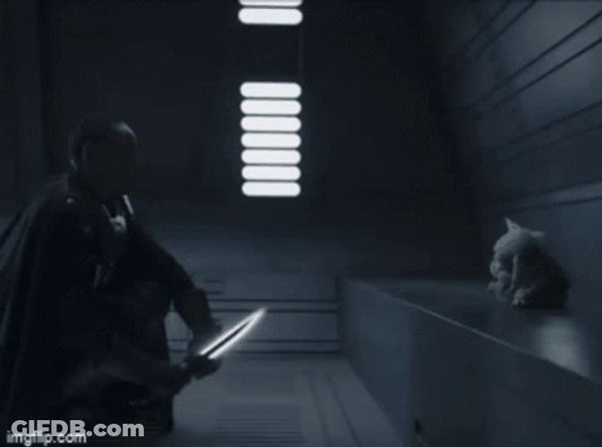 Say Hello To My Little Friend GIF