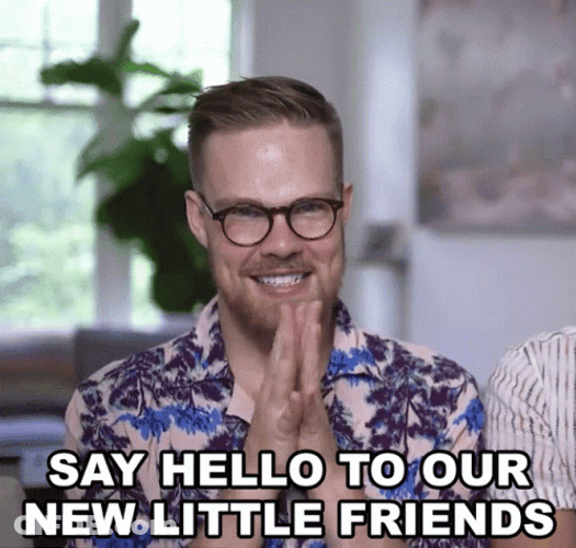 Say Hello To My Little Friend Gregory Brown GIF