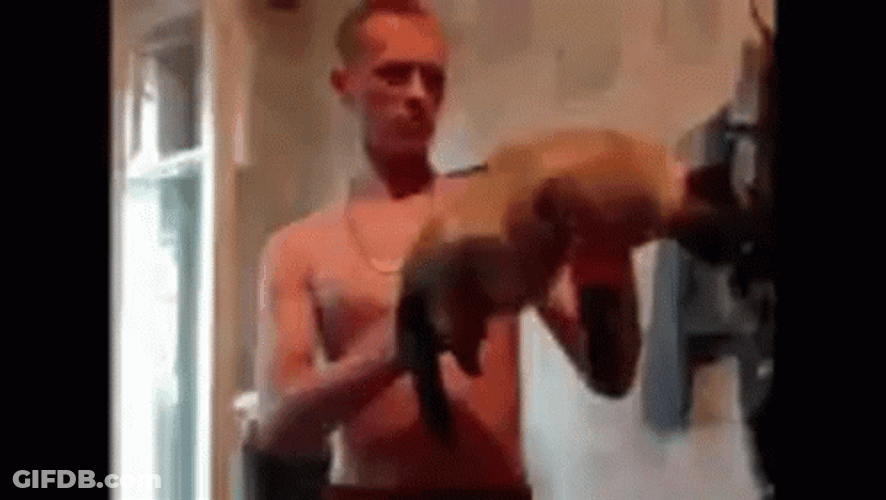 Say Hello To My Little Friend Gun Kitty GIF