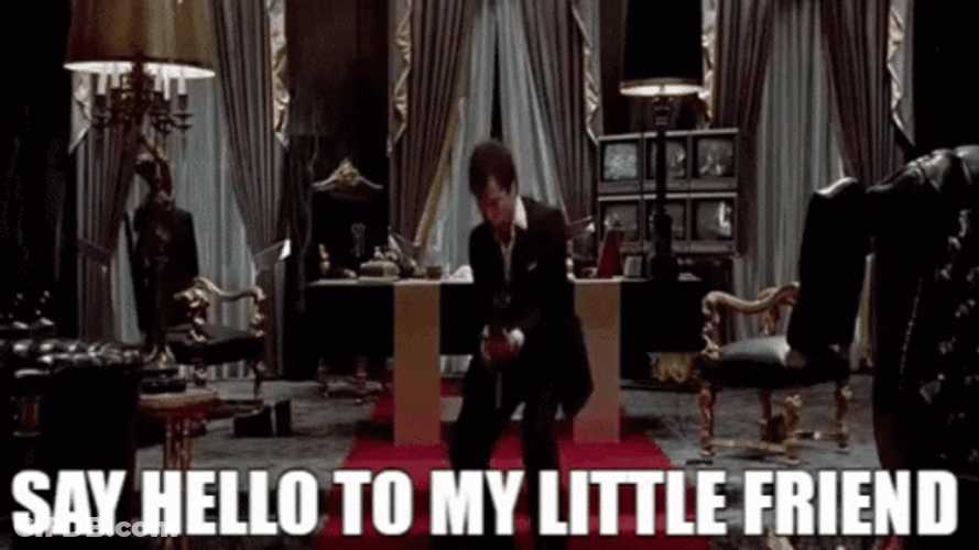 Say Hello To My Little Friend GIF