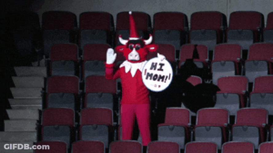 Say Hi To Your Mother For Me Bull Mascot GIF