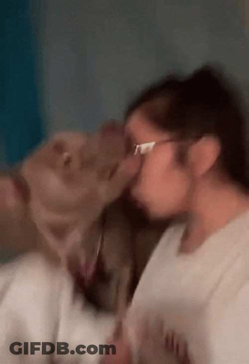 Say It To My Face Teasing Dog GIF