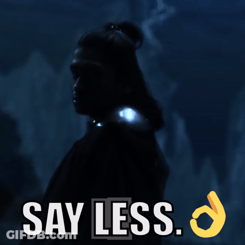 Say Less Text GIF