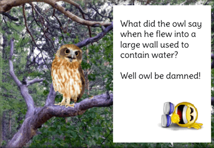 Say When He Flew Into A Large Wall GIF