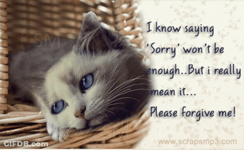 Saying Sorry Won't Be Enough Forgive Me GIF