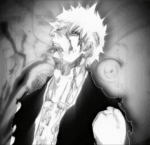 Saz1123 Ichigo GIF