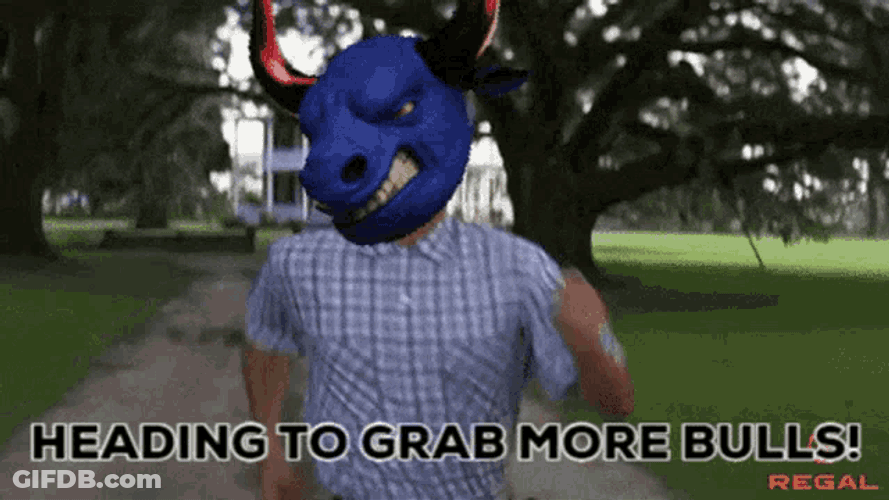 Sbs Secret Bulls GIF