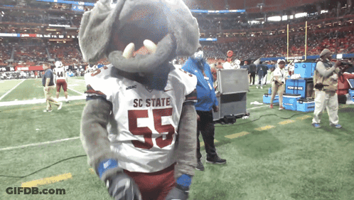 SC State Football Mascot Standing On Field GIF