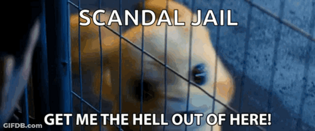 Scandal Jail Pikachu GIF