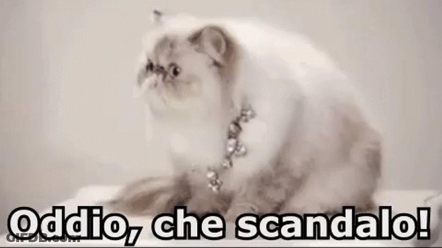 Scandal Wide Eyes GIF