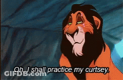 Scar From The Lion King Says Oh I Shall Practice My Curtsey GIF
