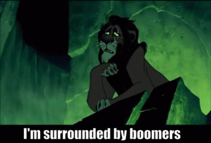 Scar Im Surrounded By Idiots GIF