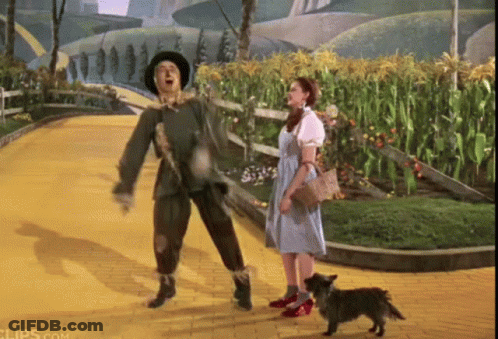 Scarecrow Dancing With Woman And Dog GIF