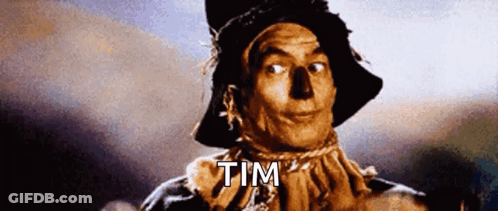 Scarecrow From Wizard Of Oz Saying Tim GIF