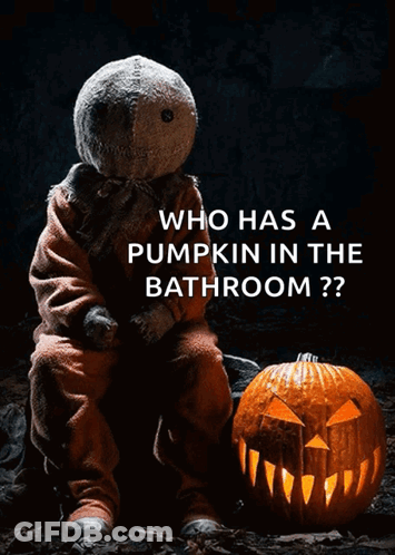 Scarecrow Sitting Next To Carved Pumpkin Saying Who Has A Pumpkin In The Bathroom GIF