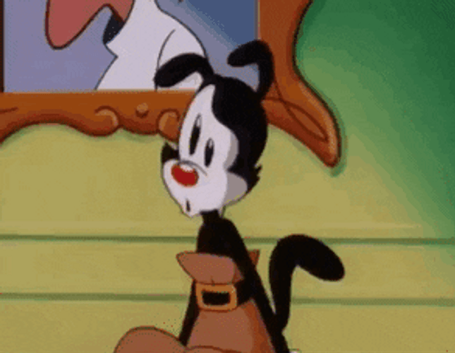 Scared Animaniacs Characters GIF