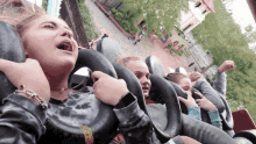 Scared At A Theme Park GIF