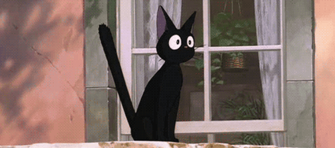 Scared Cat From Feet To Head GIF