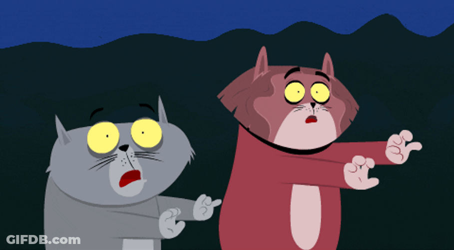 Scared Cats Kitty Is Not A Cat GIF