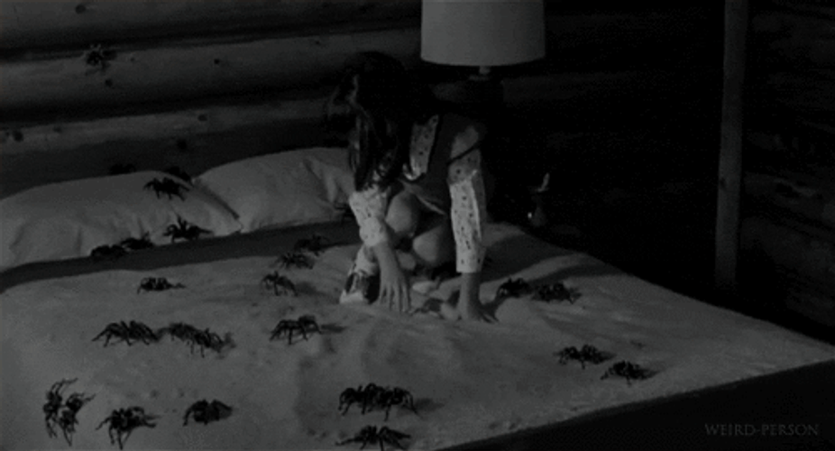 Scared Girl Spiders In Bed GIF