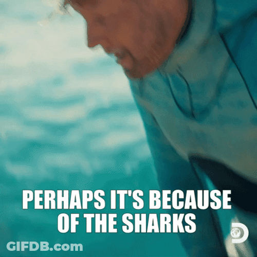 Scared Parkers Trail Perhaps The Shark GIF