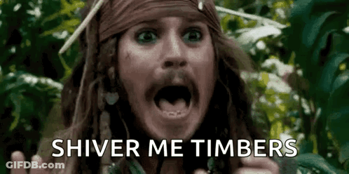 Scared Pirate GIF