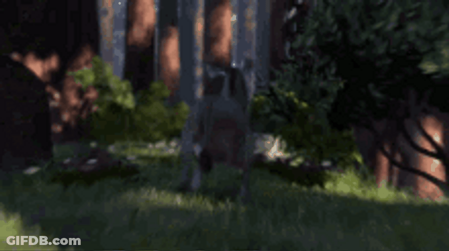 Scared Shrek Donkey Running Away GIF
