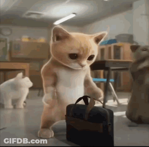 Scared Smurf Cat Raising Its Hands GIF