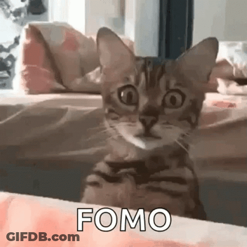 Scaredy Cat Fomo GIF