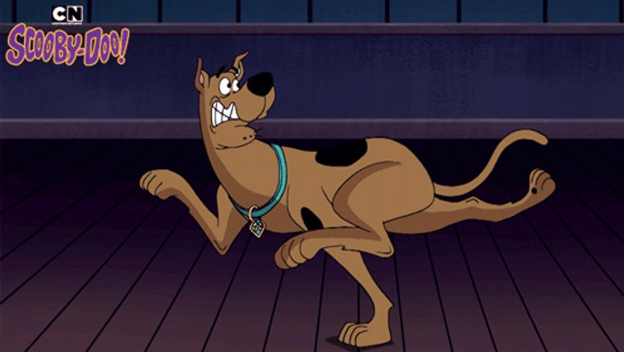 Scaredy-Pup Scooby Doo Vanishing Act GIF