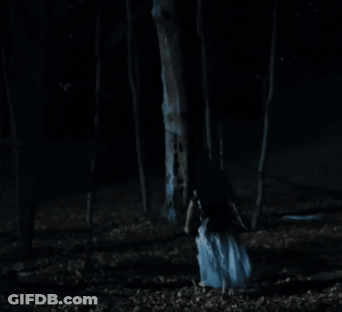Scariest Things In These Woods Is Us Written In Black GIF
