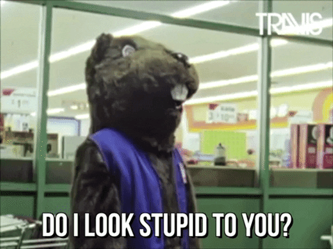 Scary Beaver Asking If He Looks Stupid GIF