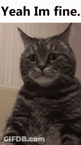 Scary Doll Sitting In Chair Saying I Want My Doll GIF