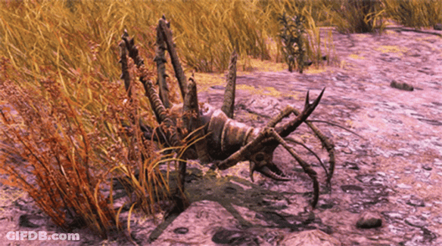 Scary Giant Cricket On Ground GIF