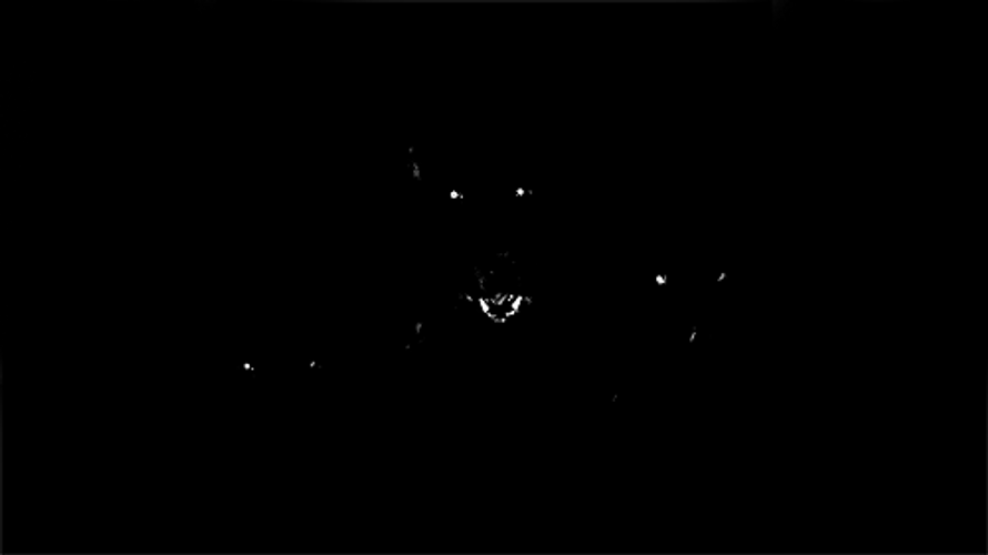 Scary Halloween Black Barking Dogs GIF